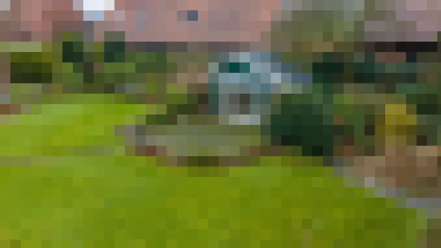 de Stulendreier 1 Dinxperlo thumbnail 30