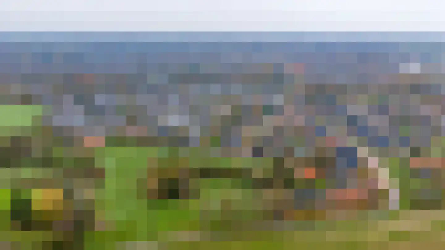 de Stulendreier 1 Dinxperlo thumbnail 34