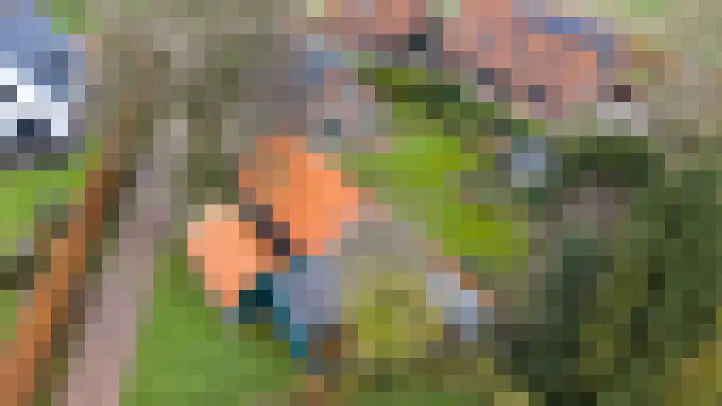 de Stulendreier 1 Dinxperlo thumbnail 4