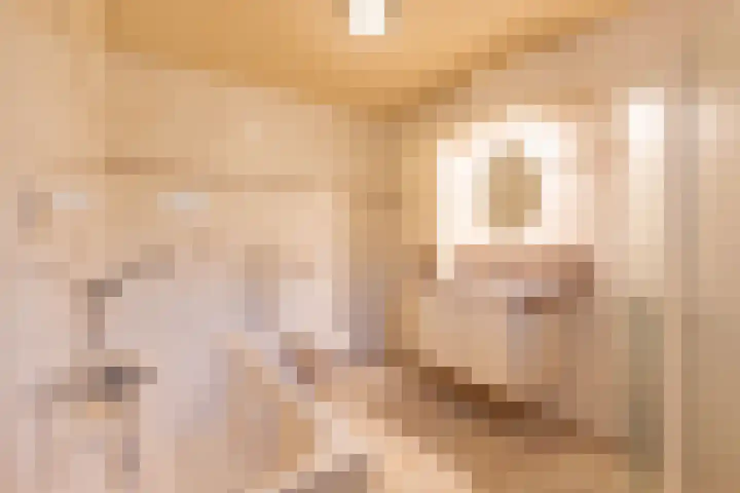 de Stulendreier 1 Dinxperlo thumbnail 9