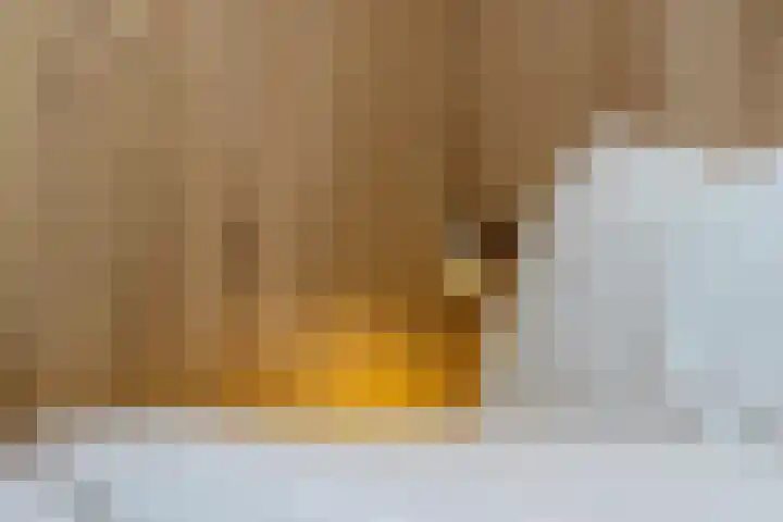 De Stuw 12 Zuidwolde thumbnail 12