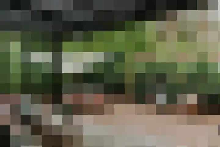 De Stuw 12 Zuidwolde thumbnail 18