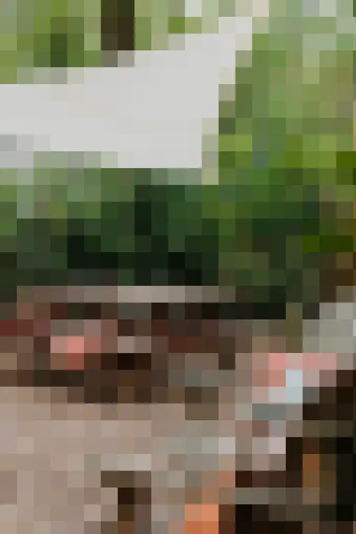 De Stuw 12 Zuidwolde thumbnail 19