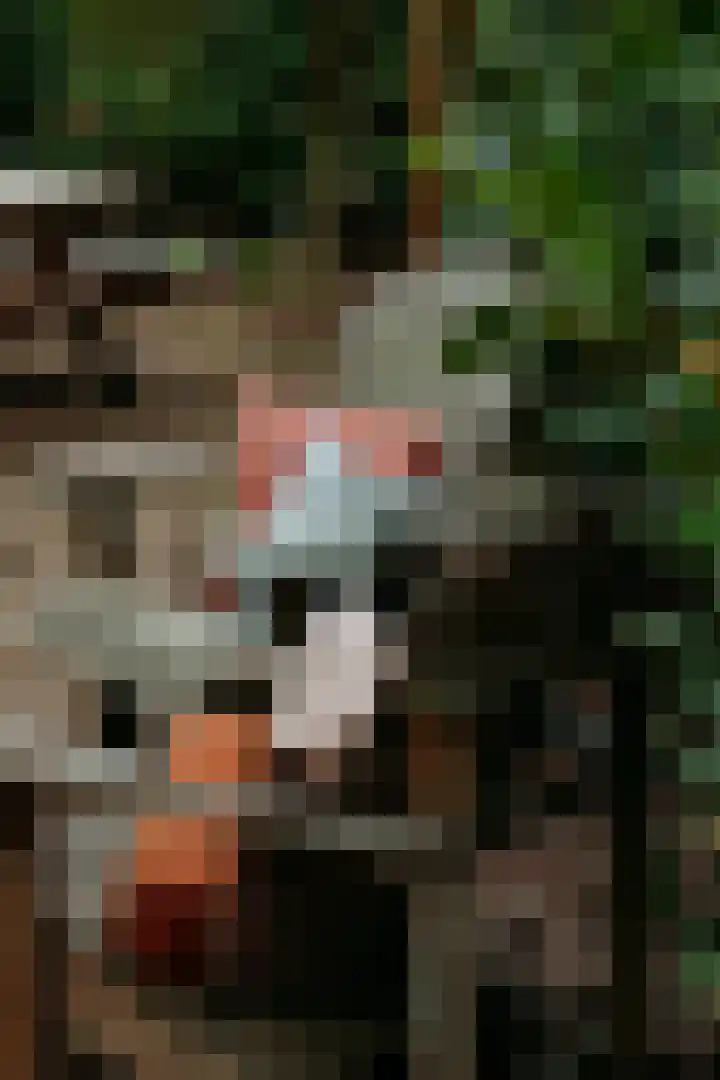 De Stuw 12 Zuidwolde thumbnail 20