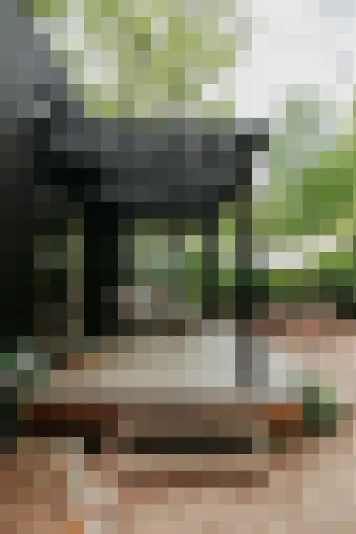De Stuw 12 Zuidwolde thumbnail 4