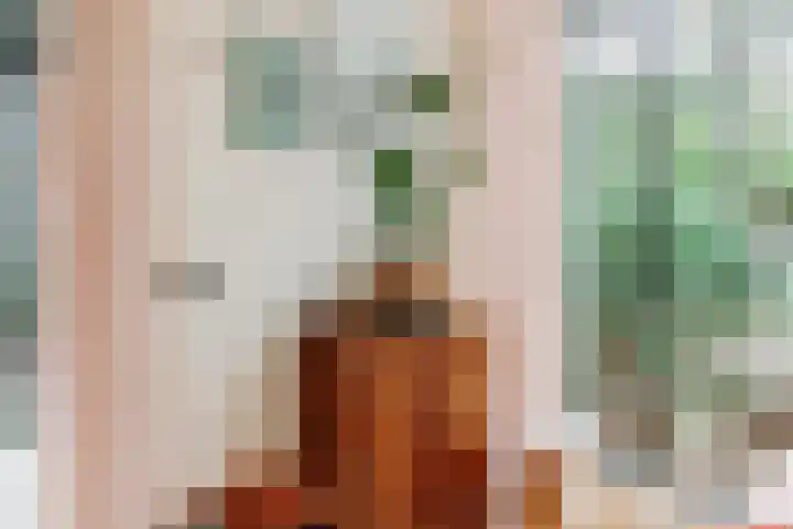 De Stuw 12 Zuidwolde thumbnail 8