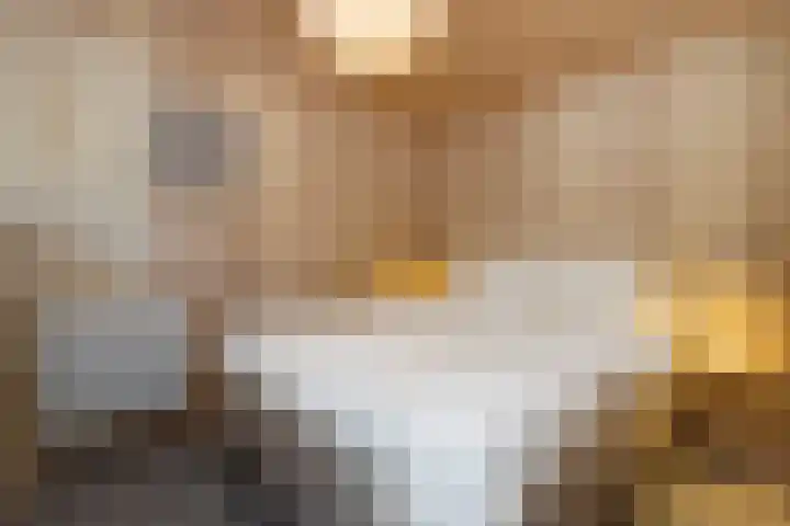 De Stuw 12 Zuidwolde thumbnail 9