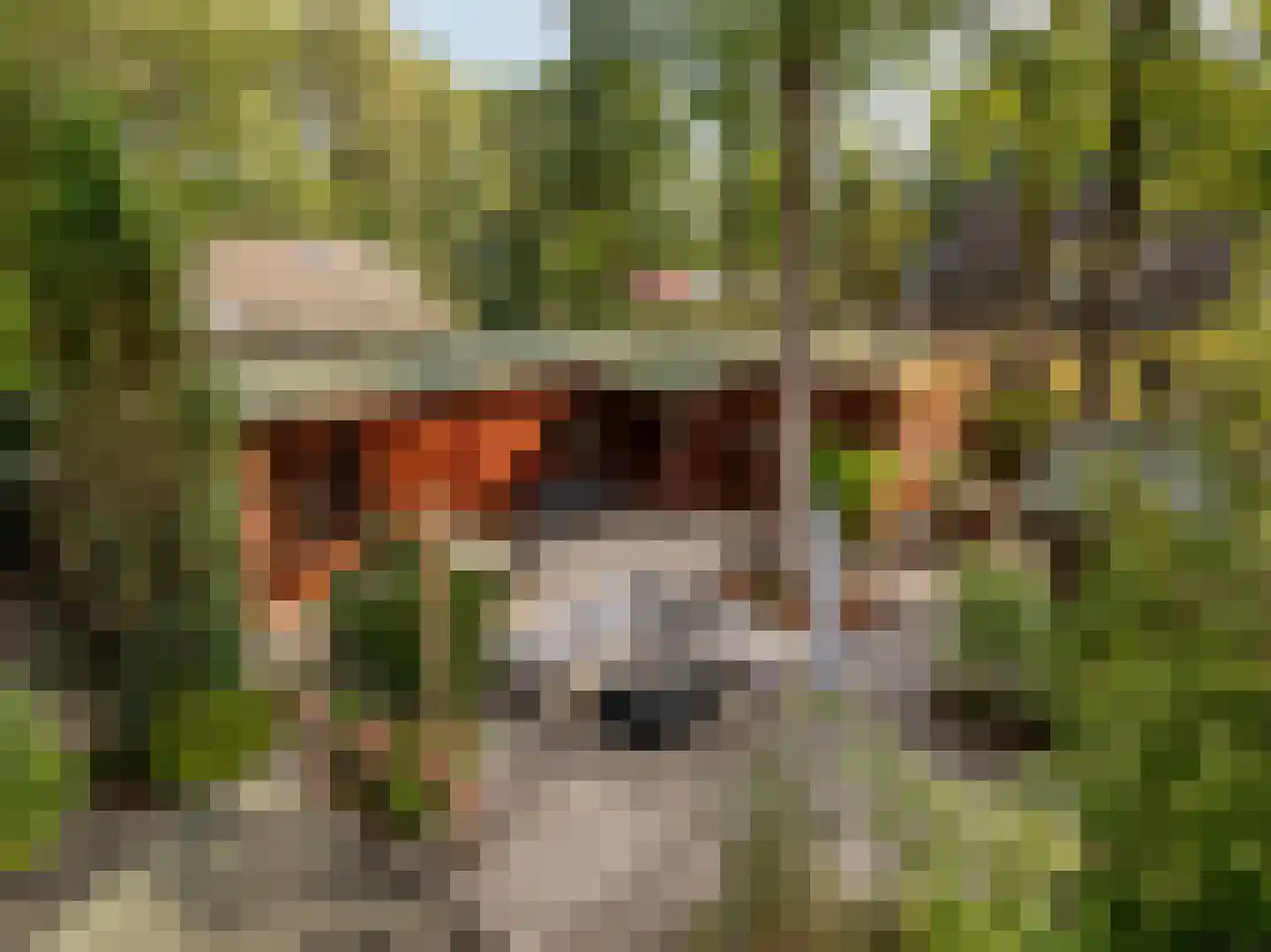 De Stuw 6 19 Zuidwolde thumbnail 25