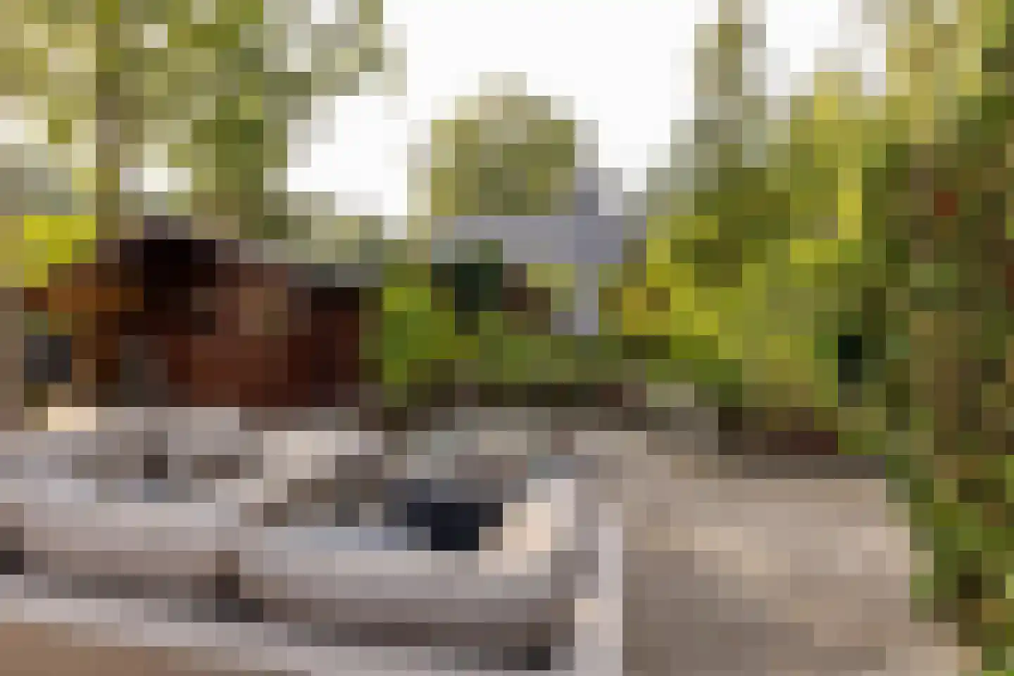 De Stuw 6 19 Zuidwolde thumbnail 29