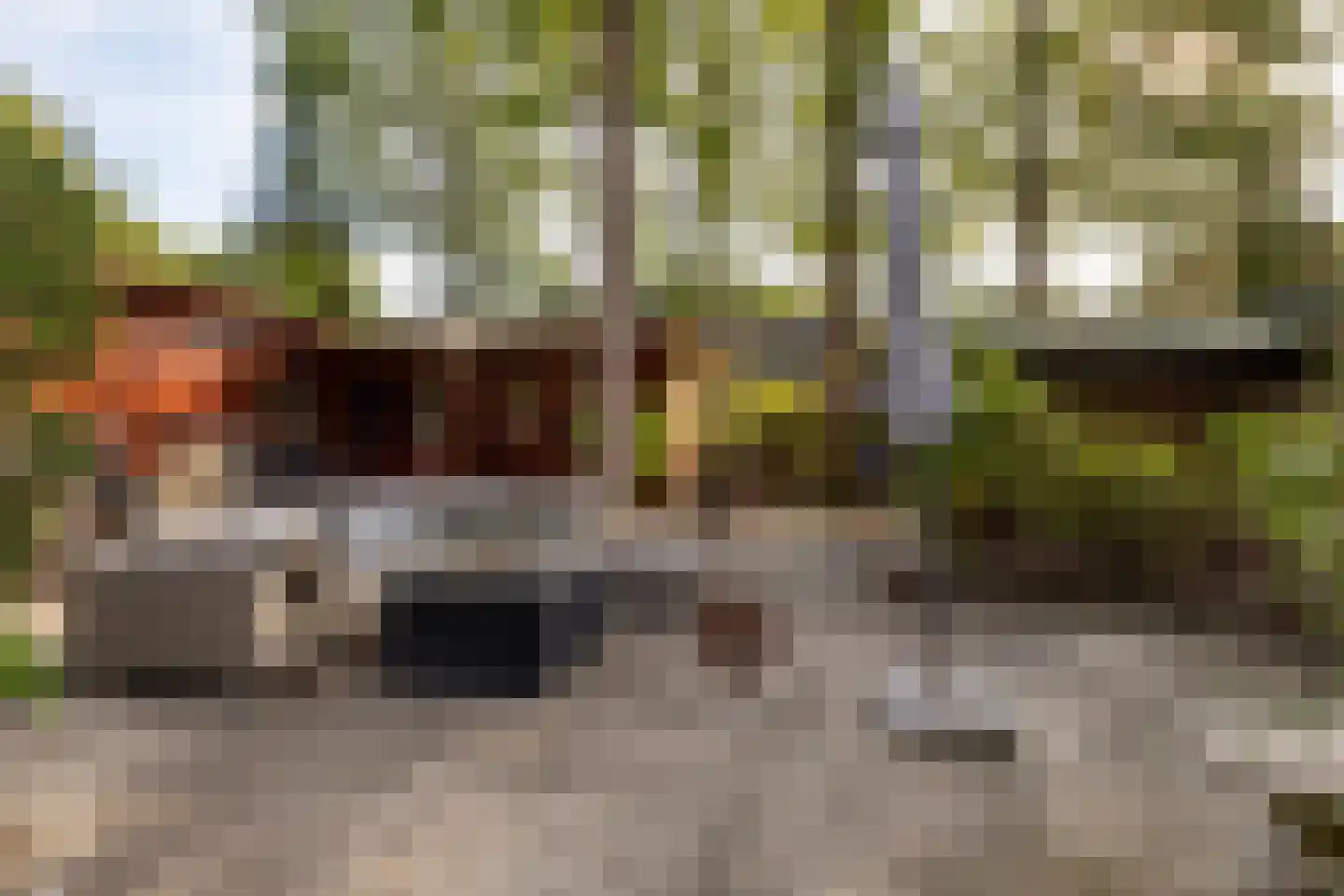 De Stuw 6 19 Zuidwolde thumbnail 30