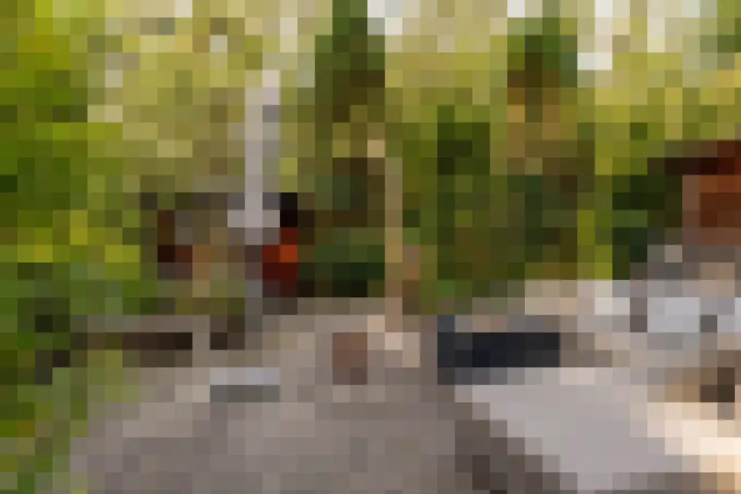 De Stuw 6 19 Zuidwolde thumbnail 31
