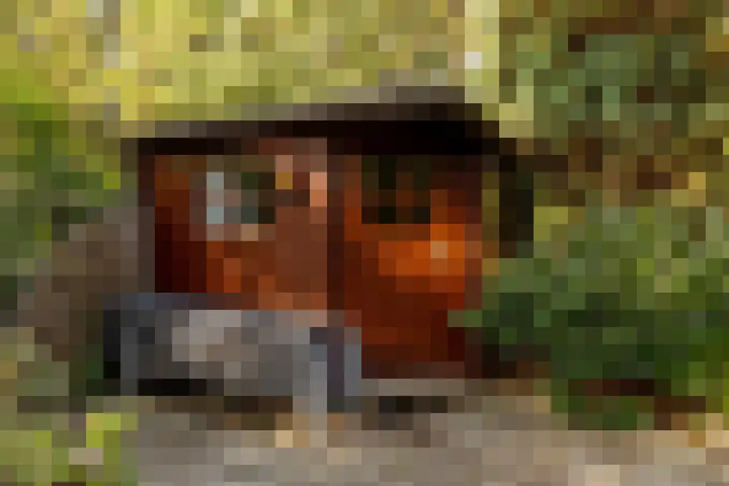 De Stuw 6 19 Zuidwolde thumbnail 33
