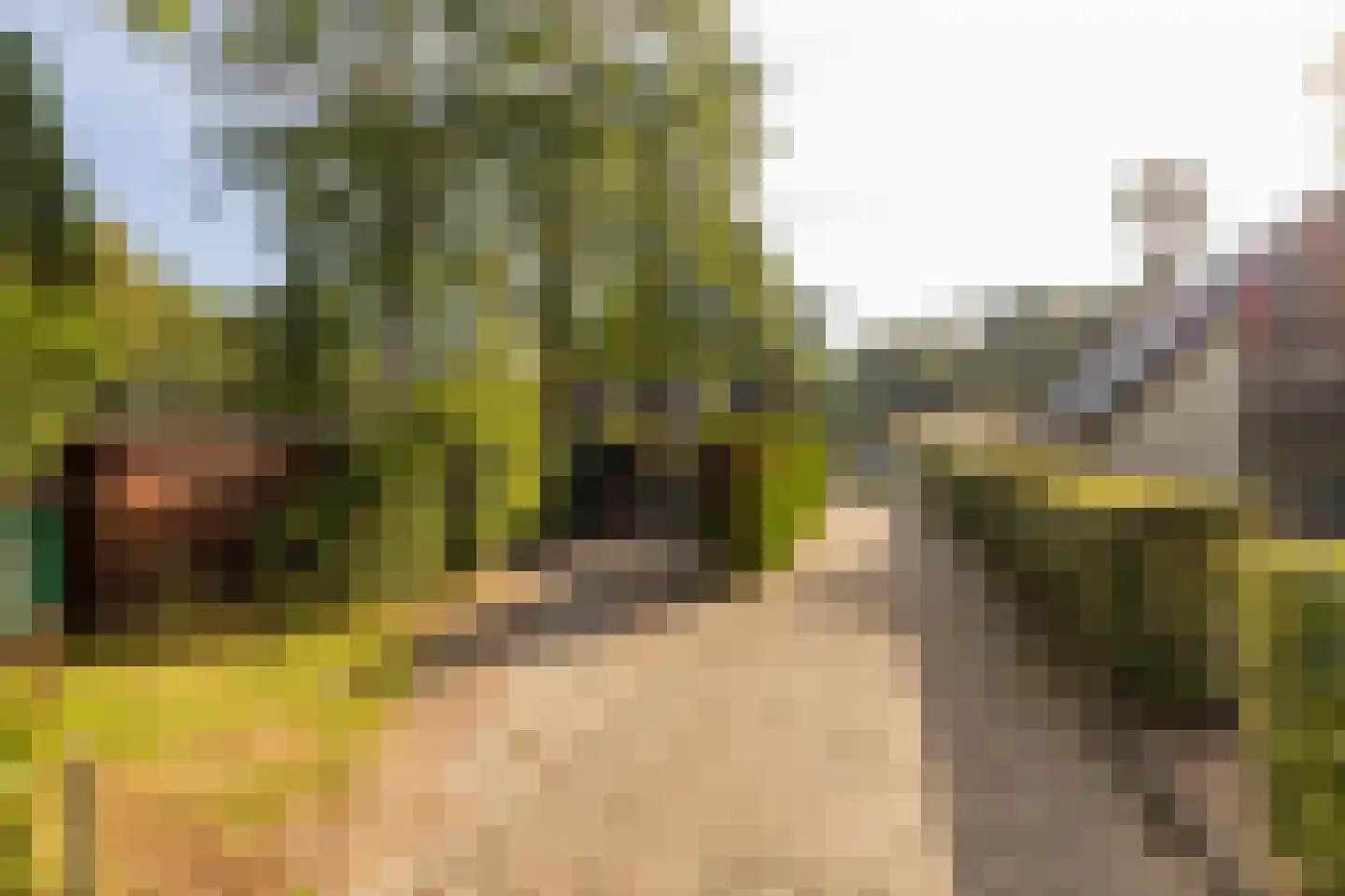 De Stuw 6 19 Zuidwolde thumbnail 36