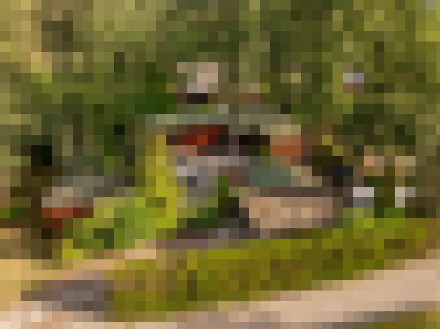 De Stuw 6 19 Zuidwolde thumbnail 5