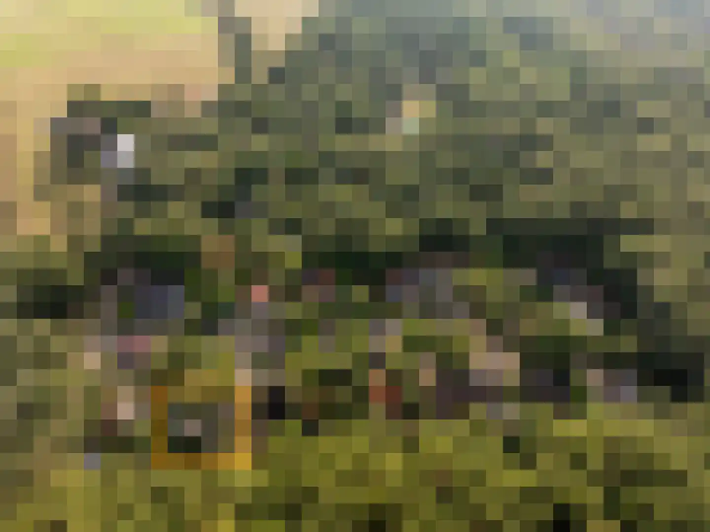 De Stuw 6 19 Zuidwolde thumbnail 6