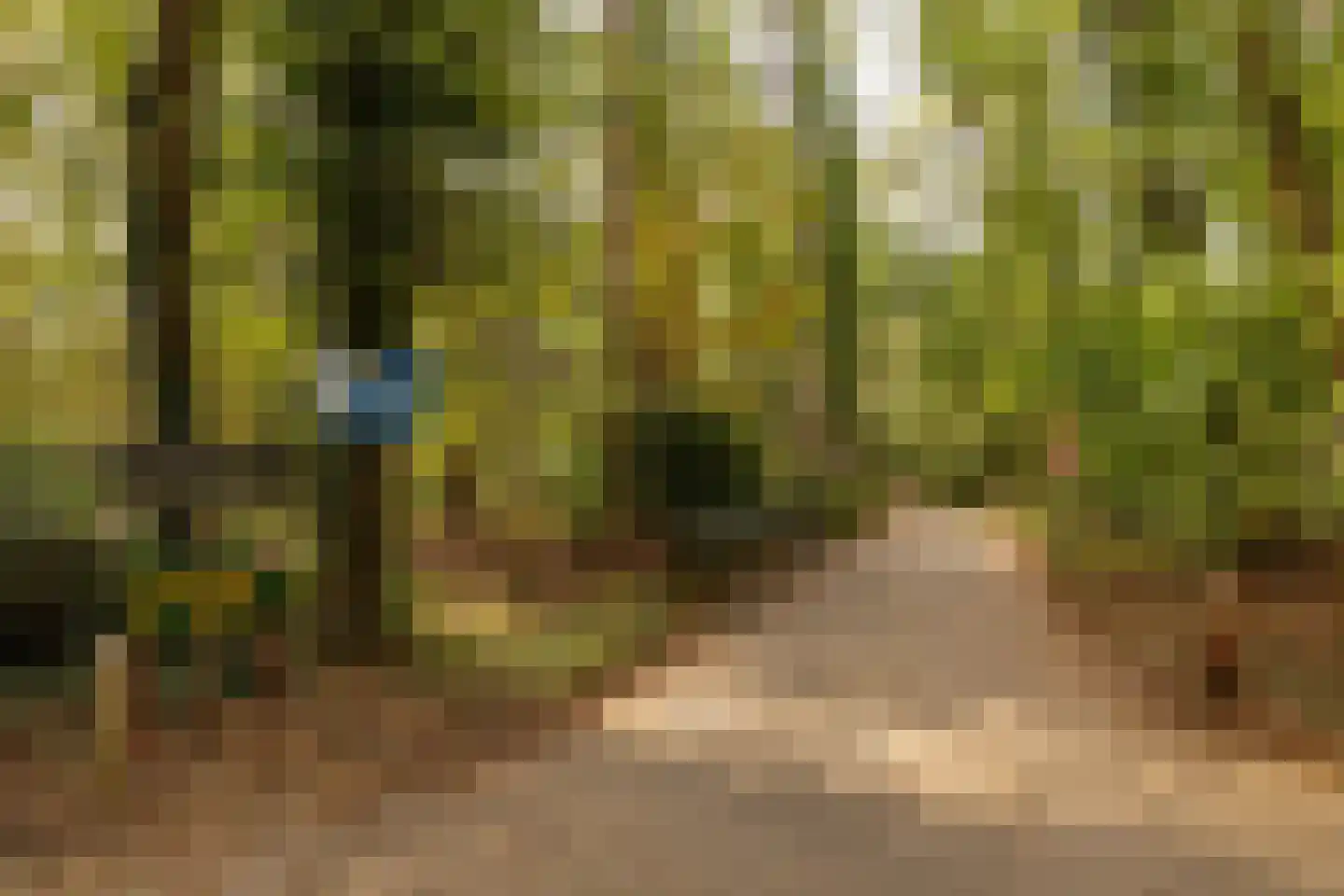 De Stuw 6 19 Zuidwolde thumbnail 7