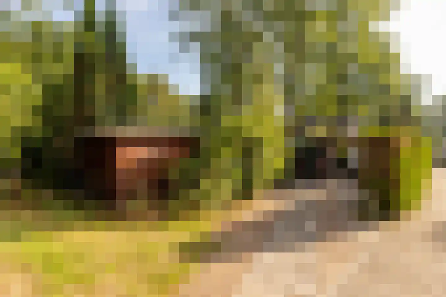 De Stuw 6 19 Zuidwolde thumbnail 8