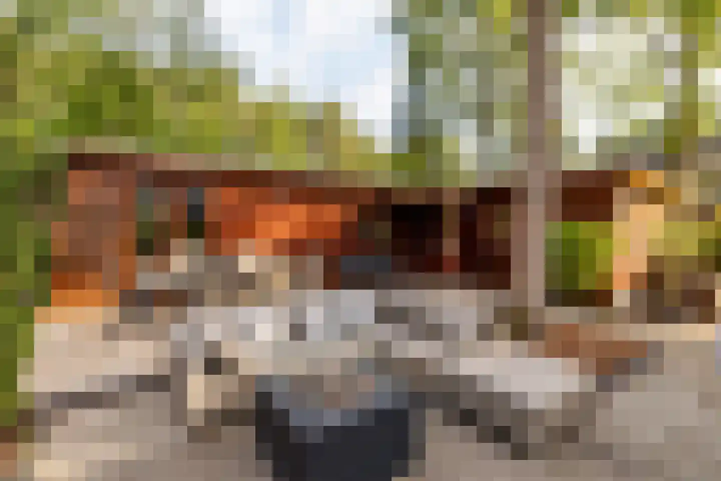 De Stuw 6 19 Zuidwolde thumbnail 9