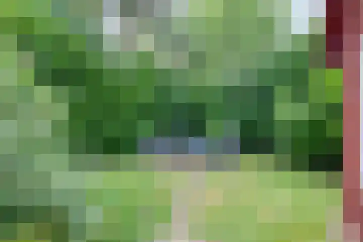 De Stuw 6 7 Zuidwolde thumbnail 30