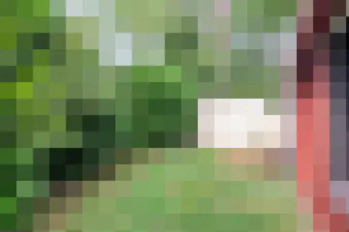 De Stuw 6 7 Zuidwolde thumbnail 31