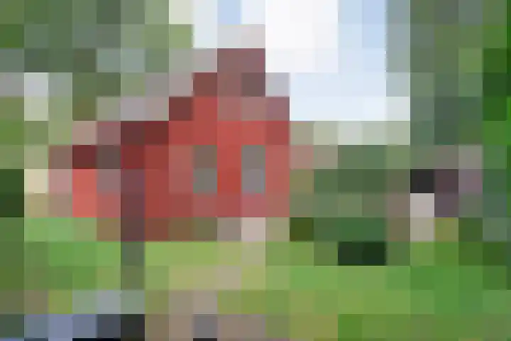 De Stuw 6 7 Zuidwolde thumbnail 34