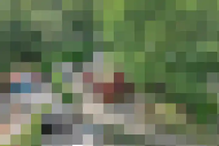 De Stuw 6 7 Zuidwolde thumbnail 4