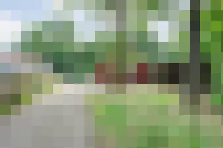 De Stuw 6 7 Zuidwolde thumbnail 5