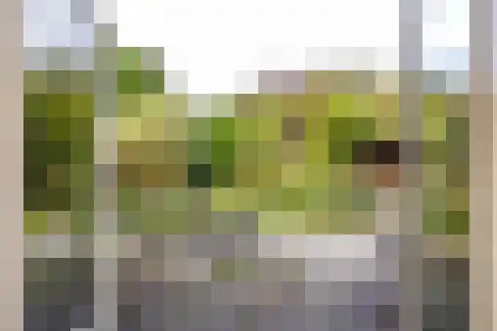 De Stuw 8 Sauwerd thumbnail 21
