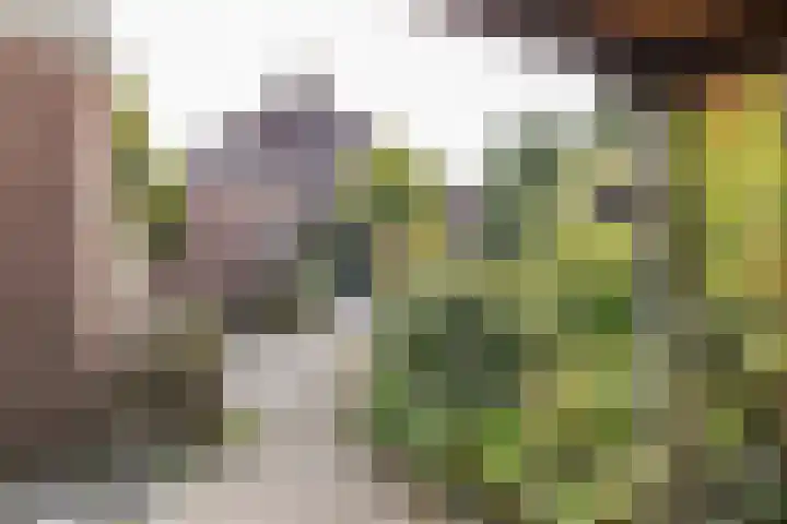 De Stuw 8 Sauwerd thumbnail 25