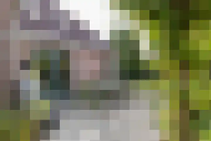 De Stuw 8 Sauwerd thumbnail 26