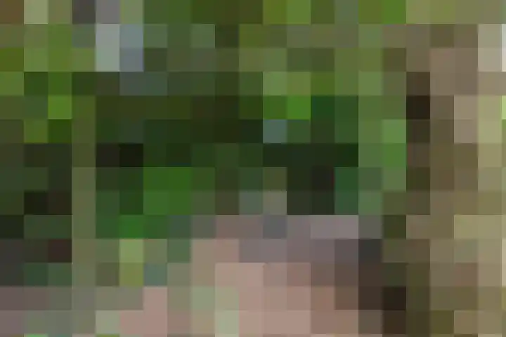 De Stuw 8 Sauwerd thumbnail 29