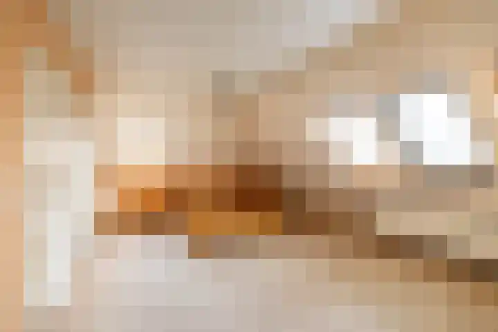 De Stuw 8 Sauwerd thumbnail 50