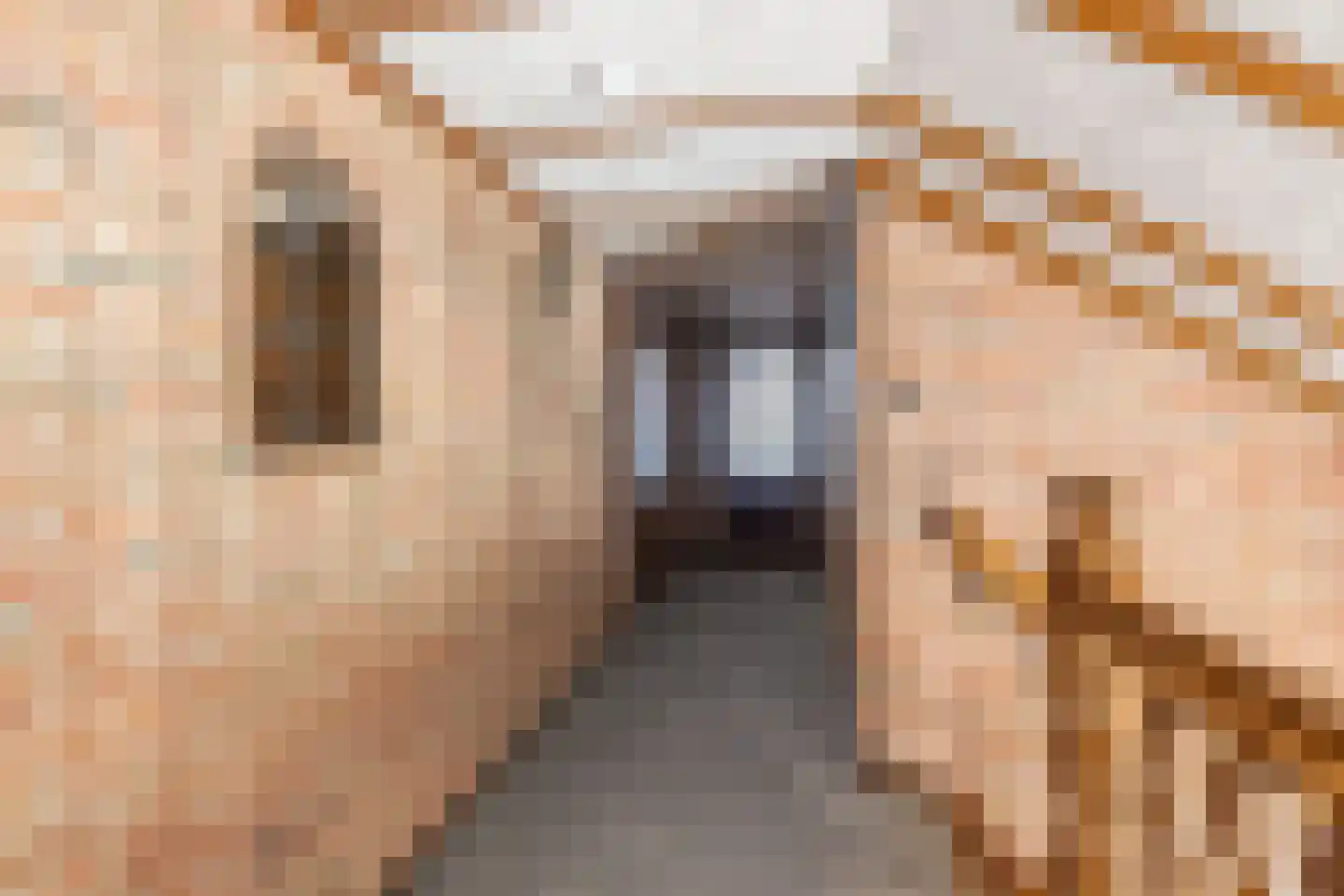 De Stuwdijk 3 Hardenberg thumbnail 39