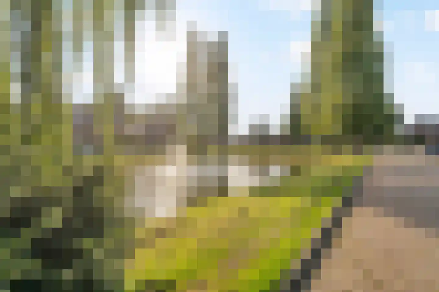 De Surmontstraat 12 Amstelveen thumbnail 55