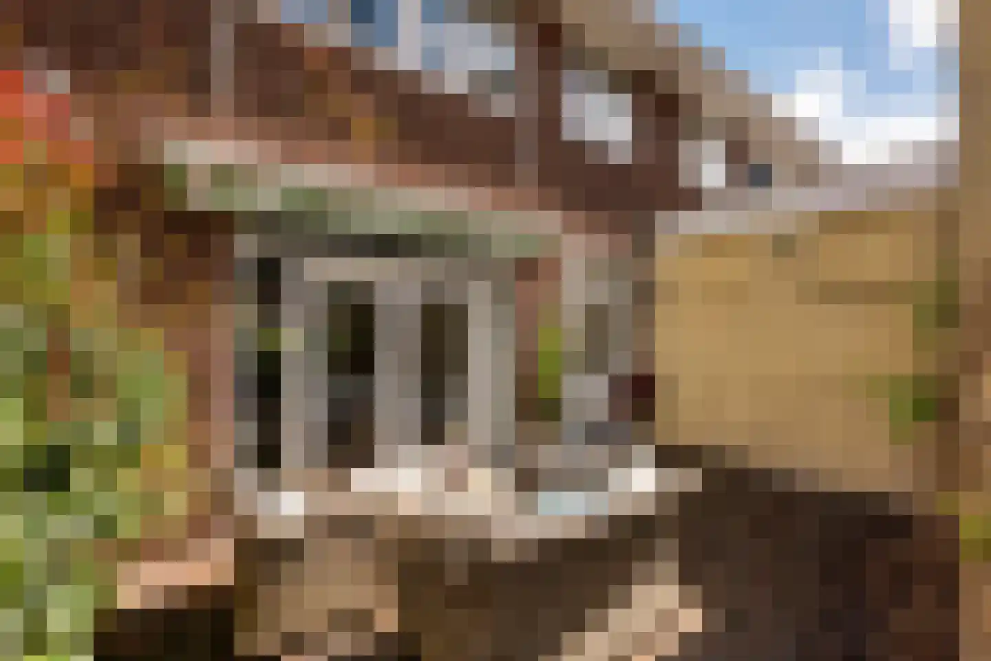 De Surmontstraat 53 Amstelveen thumbnail 17