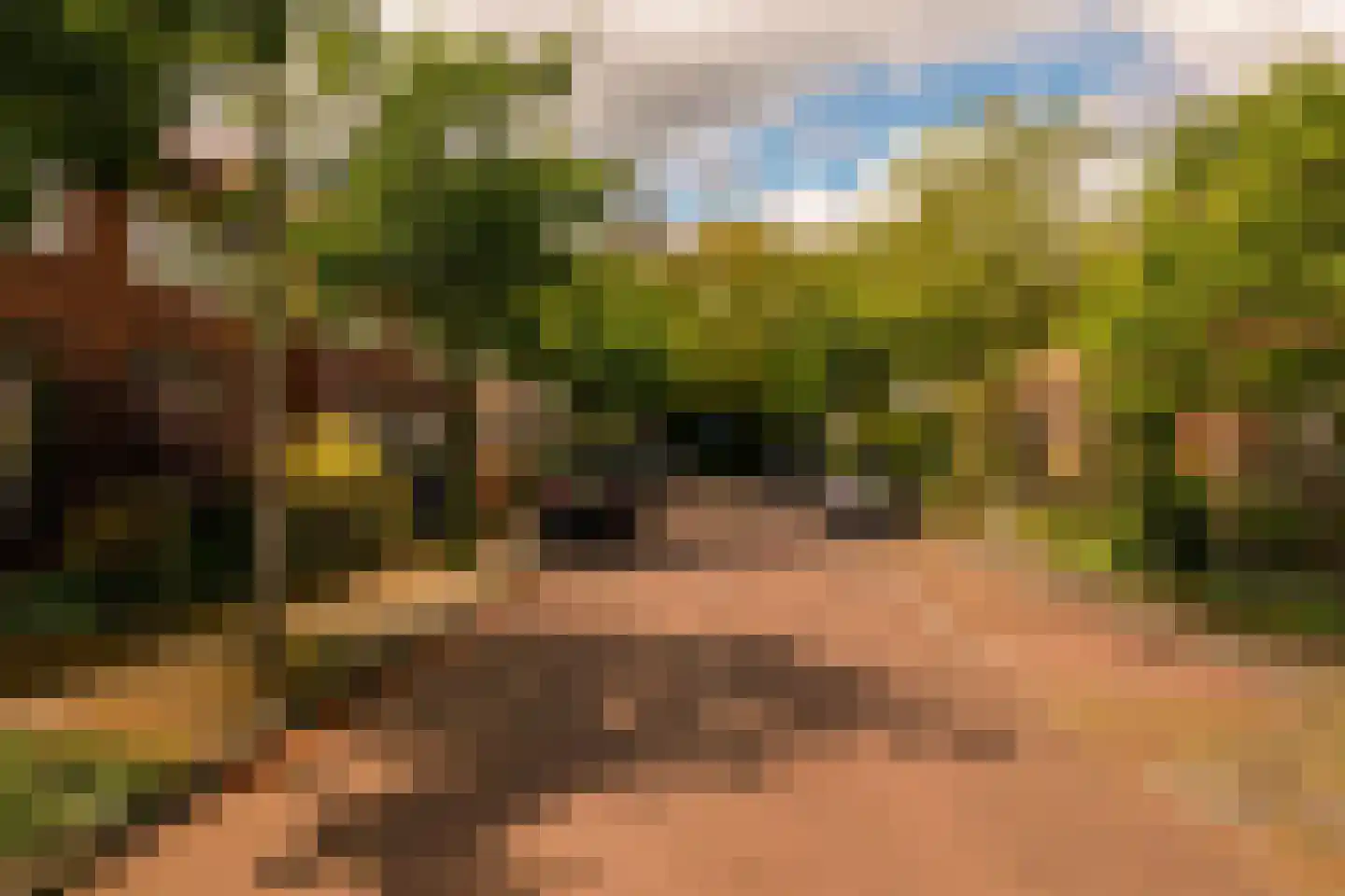 De Surmontstraat 53 Amstelveen thumbnail 29