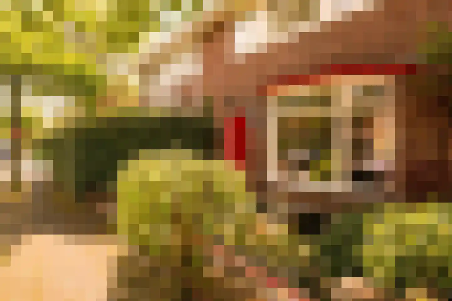 De Surmontstraat 53 Amstelveen thumbnail 5