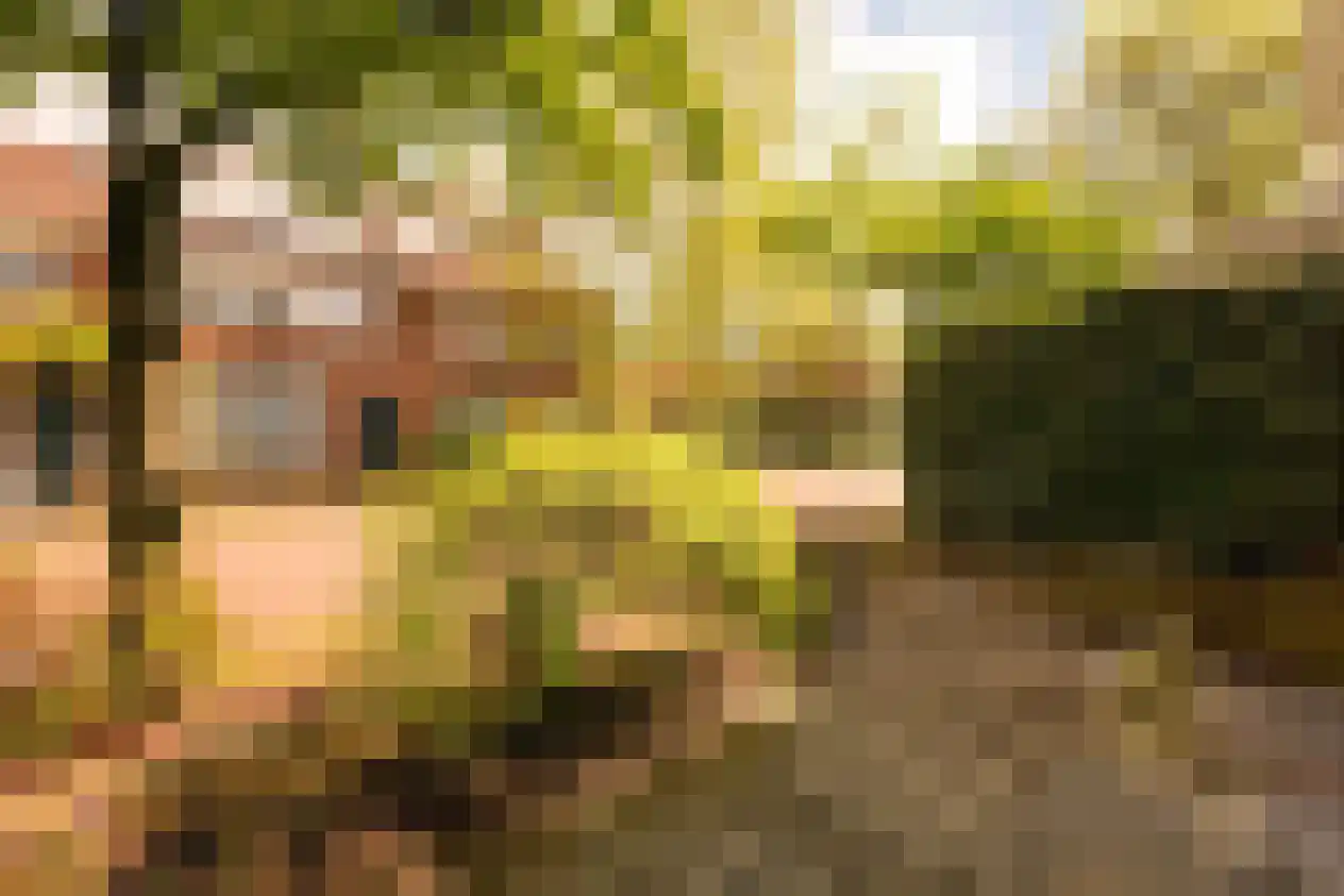 De Surmontstraat 53 Amstelveen thumbnail 6