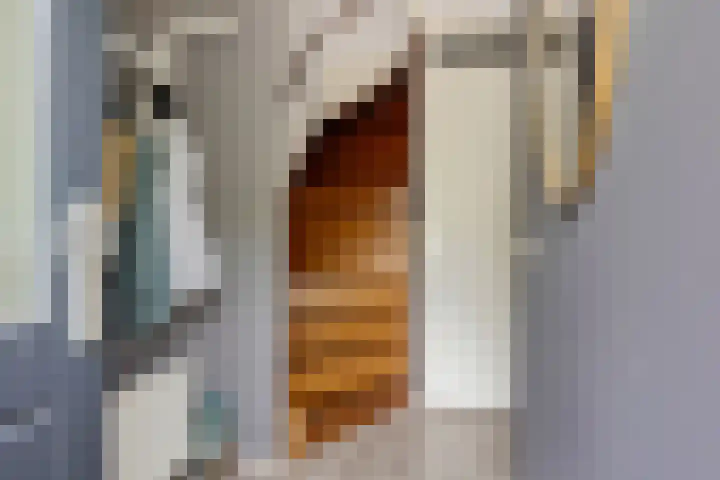 De Swaan 2 St.-Annaparochie thumbnail 10