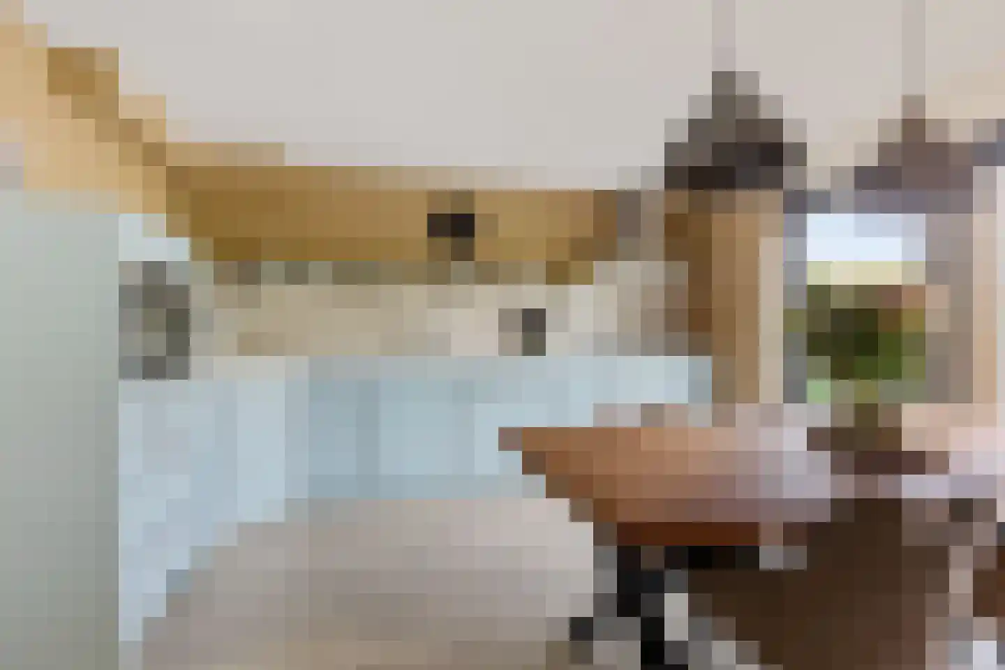 De Swaan 2 St.-Annaparochie thumbnail 13