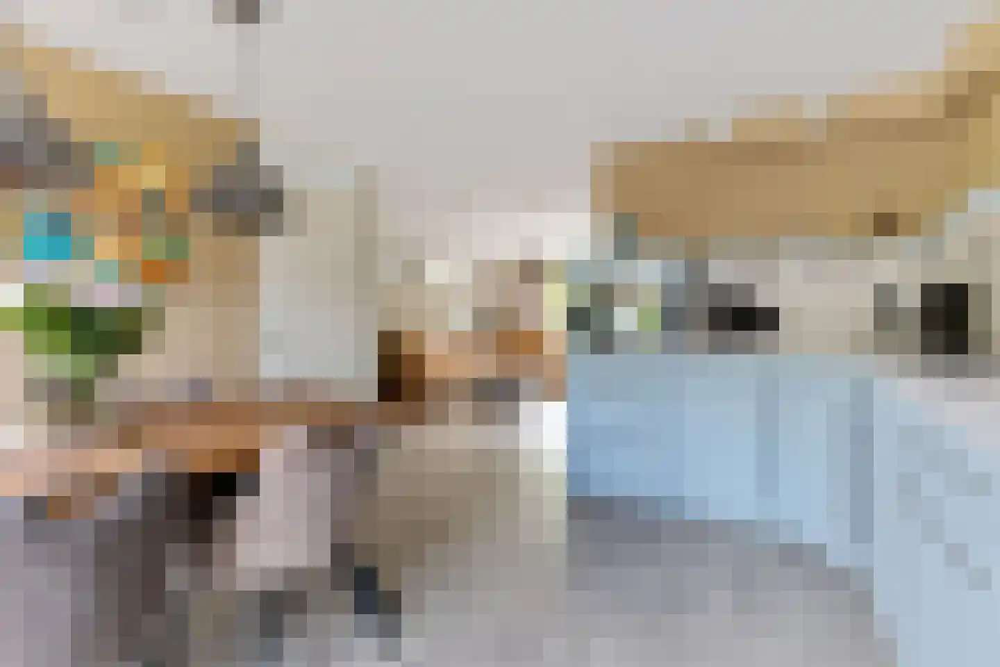 De Swaan 2 St.-Annaparochie thumbnail 14
