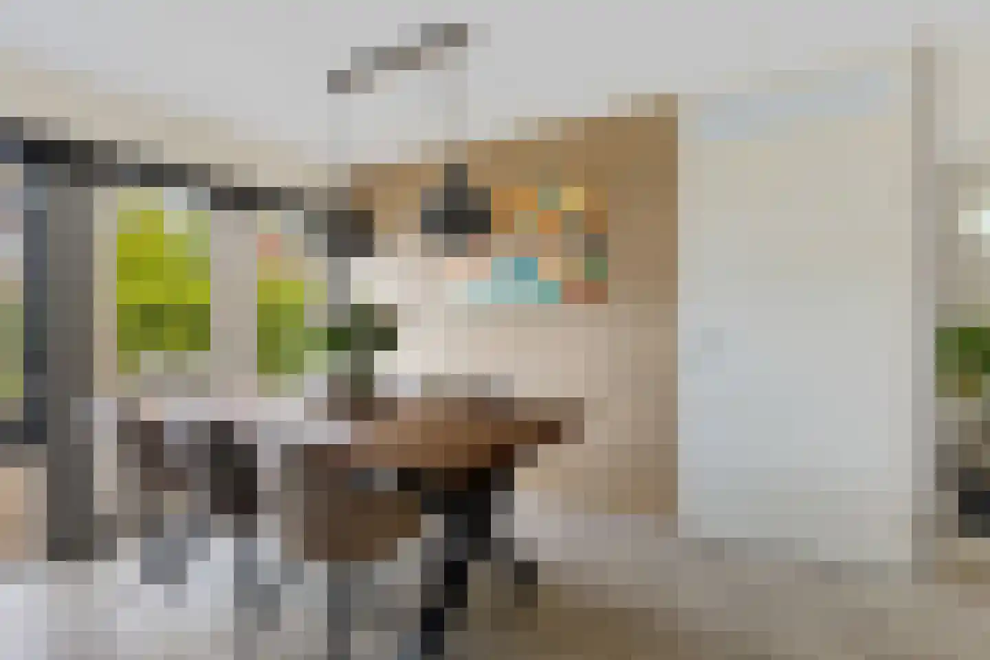 De Swaan 2 St.-Annaparochie thumbnail 15
