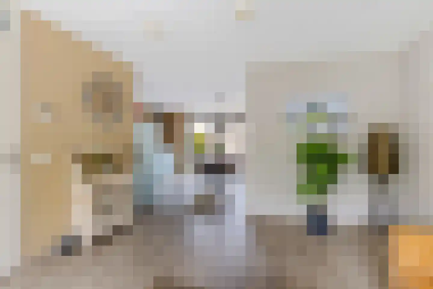 De Swaan 2 St.-Annaparochie thumbnail 17