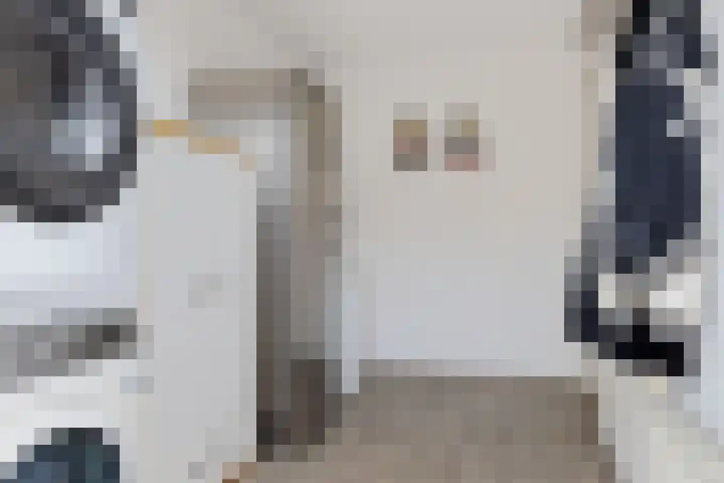 De Swaan 2 St.-Annaparochie thumbnail 20