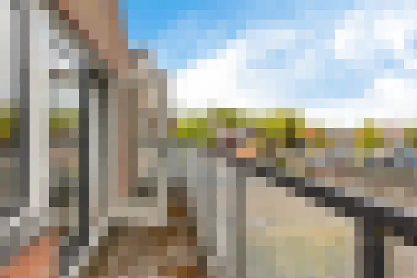 De Swaan 2 St.-Annaparochie thumbnail 28
