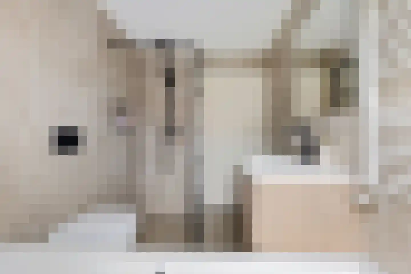 De Swaan 2 St.-Annaparochie thumbnail 30