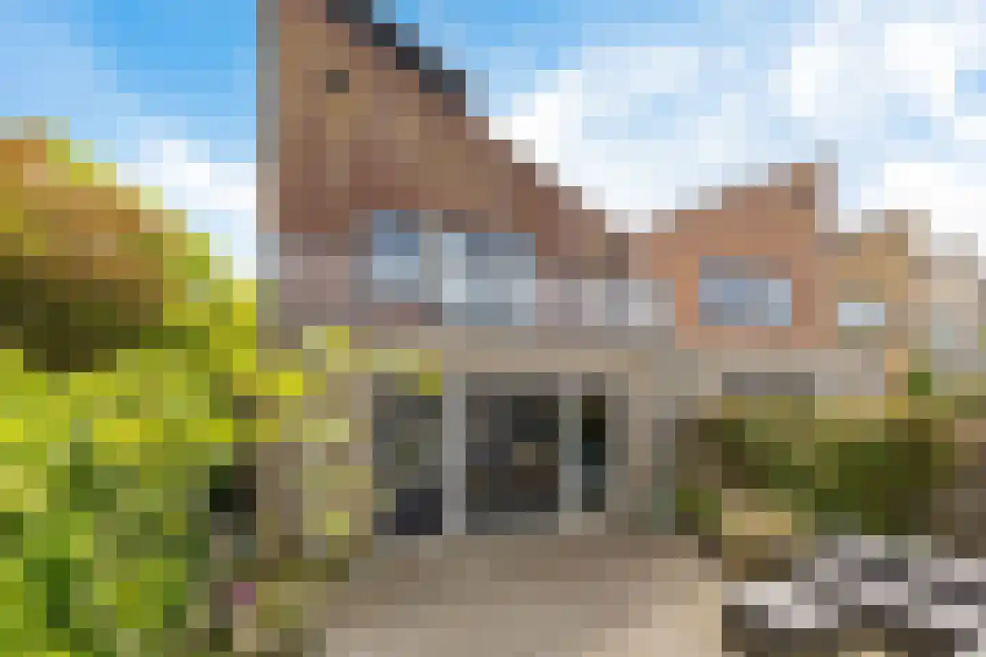 De Swaan 2 St.-Annaparochie thumbnail 37
