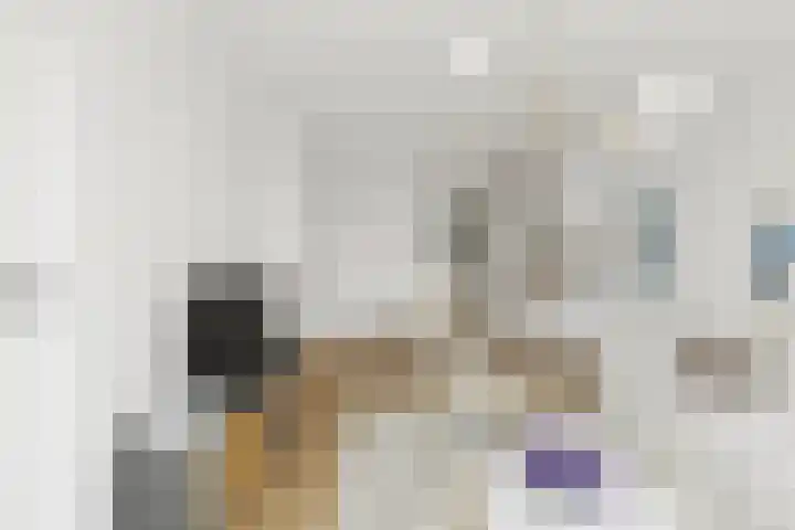 de Swaenenborgh 44 Meppel thumbnail 4