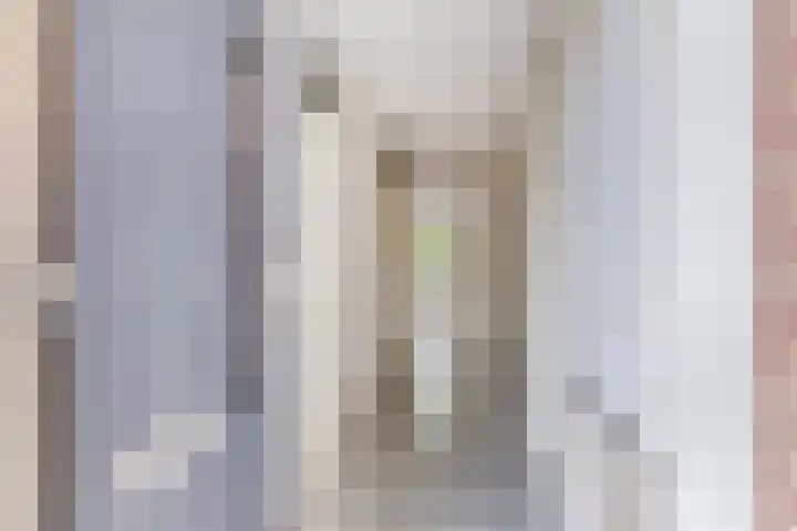 de Swaenenborgh 44 Meppel thumbnail 6