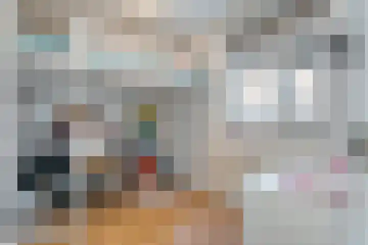 de Swaenenborgh 47 Meppel thumbnail 12
